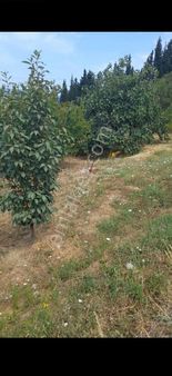 Karamürselin Üstünde Süper Deniz Manzaralı İmarlı Arsa