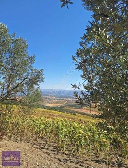 Nilüfer Konaklı'da Satılık Tarla