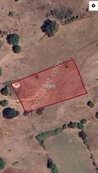 Balıkesir Gönen Dumanalan Köyünde 2.070 M2 Hobi Bahçesi