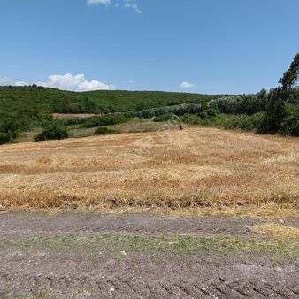 Firsat Yatırım!! Bursa M.k.paşa Çördük Köyünde Tek Tapu 2.150 M2 Satılık Tarla