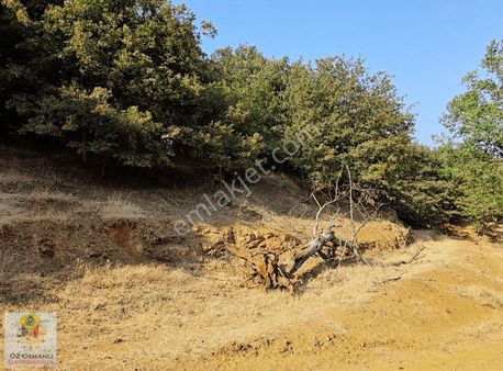 583 M2 %40 İki Kat Köy İçi İmarlı Kupon Arsa