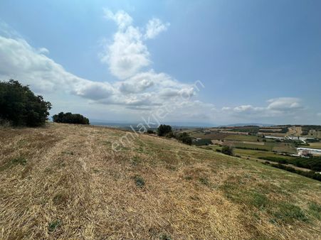 Firsat Yatırım!! Bursa Yenişehir Dereköy Mahallesinde 3.608 M2 İlçe Merkezine Yakın Tarla