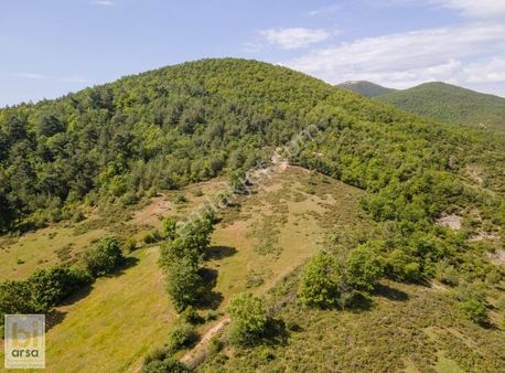 Çanakkale Çan'da Doğa İle İç İçe 1665 M² Yatırım Fırsatı