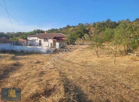 Köy Evimiz Satılıktır Edirne Lalapaşa Hamzabeyli Köyü