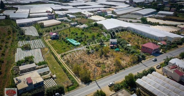 Mersin Anamur Köprübaşı Satılık Tarla