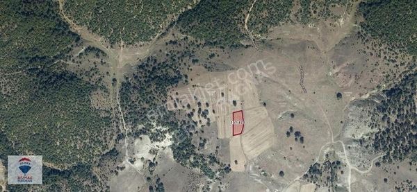 Yatırım Fırsatı Kütahya Kıranşeyh Köyü 2.477 M² Tarla