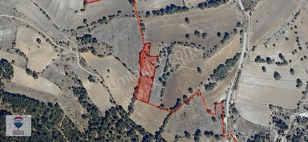 Yatırımlık Büyük Tarla Kütahya Kıranşeyh 3.812 M²