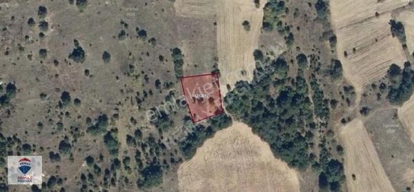 Yatırımlık Kütahya Kıranşeyh Köyü Akçadede 1.037m² Tarla