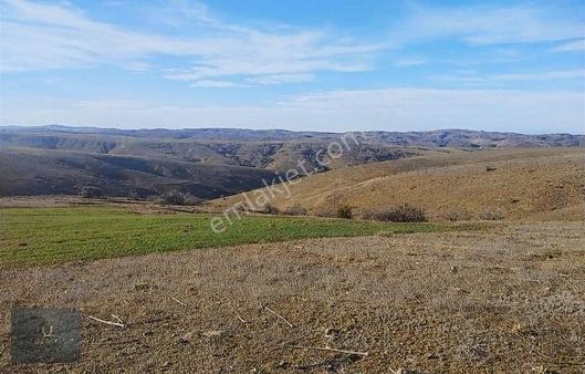 Özbey Emlaktan Sulukaraağaçta 4.650 M² Yatırımlık Tarla