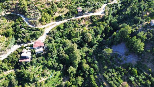 Alanya Deretürbelinas Köyü’nde Satılık 4.276 M² Tarla