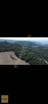 Mayadan Gyo'den Gönen Çobanhamidiye'de 6500 M2 Satılık Tarla