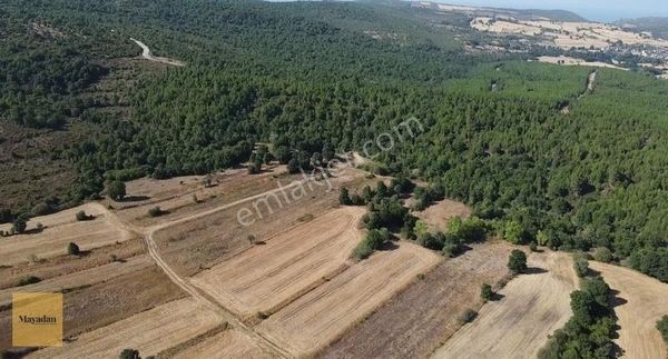 Mayadan Gayrimenkul'den Gönen Dışbudak'da 3783 M2 Satılık Tarla