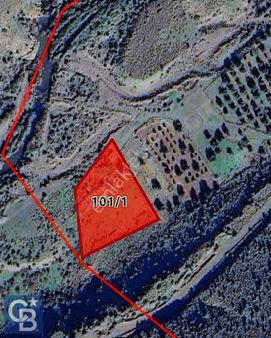 Aliağa Karakuzu Köyünde Tek Tapu Satılık Tarla