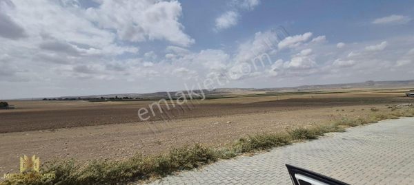 Satılık İmarlı Arsalar 4 Adet Cihanbeyli - Yeniceoba