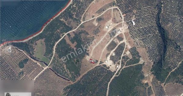 Arte Den Edincik Te 348 M2 Satılık Arsa