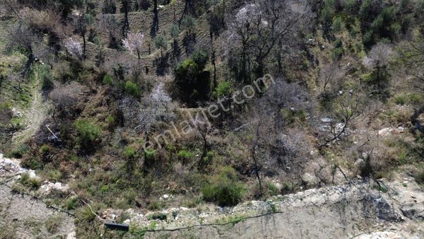 Yaylakonak Mahallesi’nde Satılık 1.110 M² Tarla