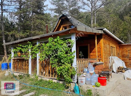 Sakarya Taraklı Satılık Arazi Ve Kütük Ev