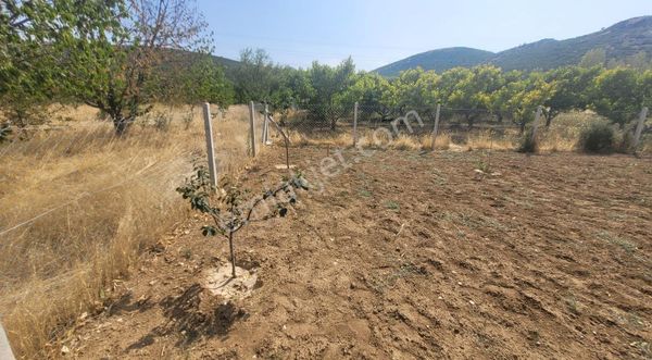 Büyük Gökçelide Satılık Tarla