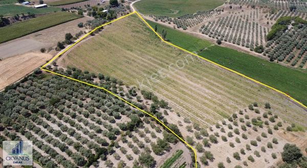 Okyanus Emlak'tan Üçpınar'da 40.000 M2, Tek Tapu