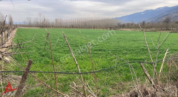 Düzce Gölyaka'da Köye Yakın 6.750 M2 Satılık Tarla