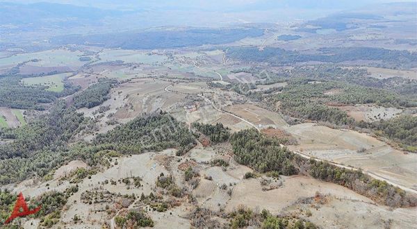 Gölpazarında İlçeye Ve Köye Yakın Araç Takaslı 3.360mt Tarla