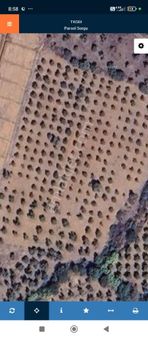 Grup Yapıdan Karakuyuda Zeytinlik