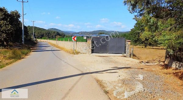 5.066 M2 İçinde 3 Adet Müstakil Havuzlu Villa Sıfır Oturulmamış