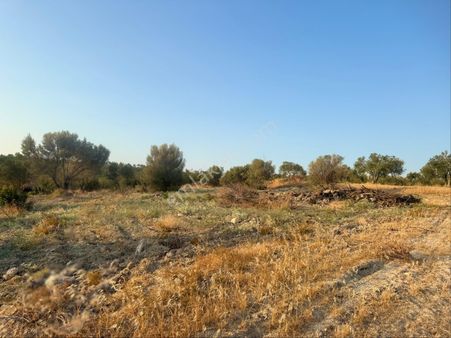 ‼️ Kelepir 1050m2 Satılık Tarla Fırsat ‼️