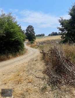 Killik Köyünde 12.650m2 Satılık Arazi