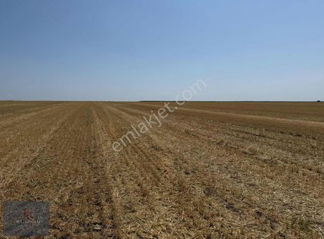 Pınarhisar Cevizköy Yola Cephe Satılık Tarla