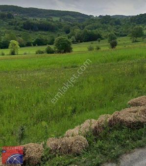 İzmit Buldukta Harika Yatırımlık