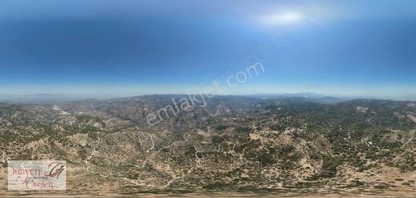 Söke Avcılar Mevkinde, Yatırımlık,27,dönüm Zeytinlik,acil Satılı