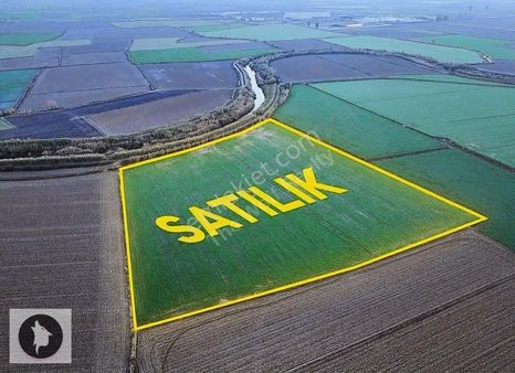 Nazilli Sümerde Satılık 30.573 M2 Tarla