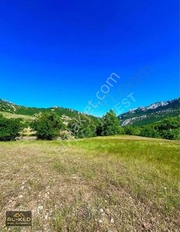 Alanya / İmamlı Yaylası Satılık 517 M2