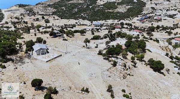 Şehirden Kaç, Kâra Geç Karaağaçta Sakin Ve Karlı Yatırım