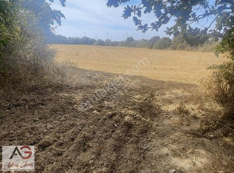 Satılık Tarla Edirne Lalapaşa Kalkansöğüt Köyü 15900 M