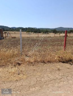 Vizyon Gayrimenkulden Yunusemre Ortaköy'de Satılık Tarla