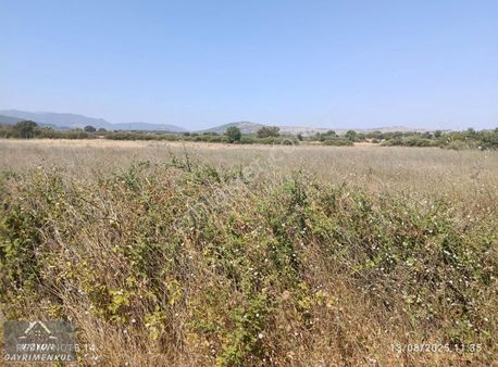 Vizyon Gayrimenkulden Yunusemre Osmancalı Da Satılık Tarla