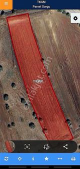 Nur Emlaktan Çankırı Çavundur Da 10.414,01 M2 Tarla Acil Satılık