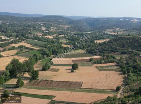 Müftüoğlu'ndan Yenişehir Günece Mahallesi'nde Satılık Tarla