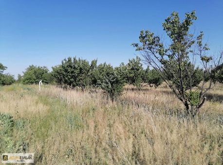 Yeşilhisar Merkez De Satlık Bahçe