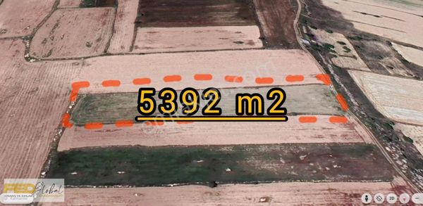 Fed Global'den Talas Başakpınar'da 5392 M2 Yatırımlık Tarla