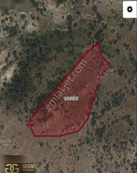 '' 4707 M² '' Çubuk Sığırlıhacı Da Tek Ve Kök Tapu Satılık Bağ!!