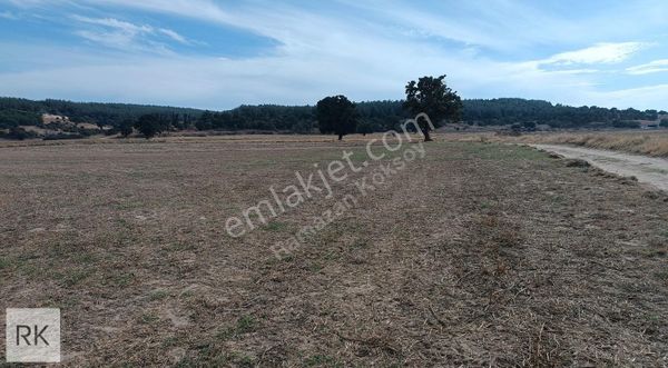 Enez Karaincirli Sahile Yakın 200 M Yola Cepheli Satılık Tarla