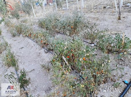 Ayaş Gökler De Satılık Hobi Bahçesi