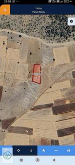 Son Fırsat! Denizli Çardakta 2.869 M² Yatırımlık Tarla