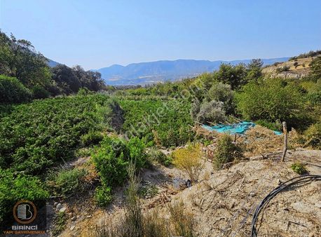 1️.yapı'dan Güney Ertuğrul'da 2800 M² Fırsat Arazi Bahçe