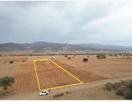 Akören Ağalarda Yol Cepeli Acillllll Satılık Tarla