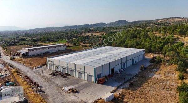 Devren Kiralık Tam Donanımlı Buz İmalathanesi Hazır Sistemli