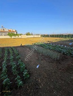 Can Emlaktan Elektrik Su Olan Kaçırılmayacak Fırsat ...